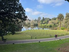 -墨尔本皇家植物园
