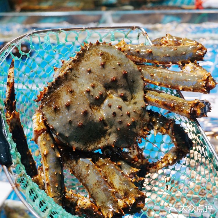 有着80几年历史的肉松店，居然还有海鲜