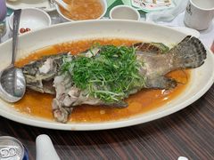 -半岛渔港 • 阿翁火锅馆(将军澳广场店)