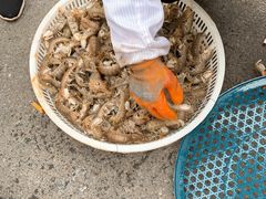 -芦潮港集贸市场