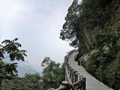 -少华山国家森林公园