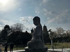 -曲江春晓苑