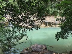 -广州白江湖森林公园