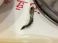 -阊门姚记豆浆(旧学前直营店)