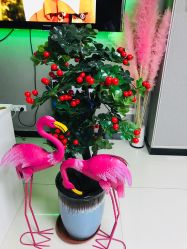 -E.beauty驻颜·痘敏肌调理中心