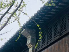 -惠山古镇·寄畅园