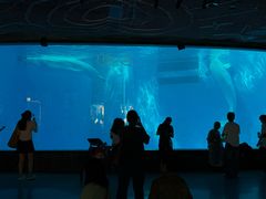 -海合安成都极地海洋公园
