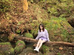 -五营红松林海景区