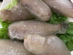 -朱氏胖子烂火锅(洪崖洞店)