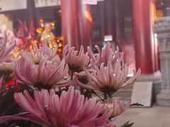 -新加坡佛牙寺龙华院
