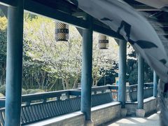 -兰亭风景区