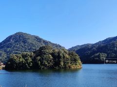 -广州市石门国家森林公园