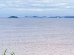 -北岐滩涂
