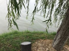 -艾溪湖湿地公园