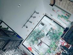 -蜜舍咖啡(洋人街店)