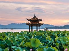 -银座影城(小十字)