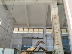 -石家庄市动物园