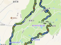 -铁山坪森林公园