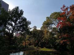 -新虹桥中心花园