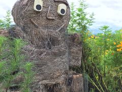 -黄色小屋