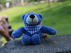 -济州岛泰迪熊博物馆