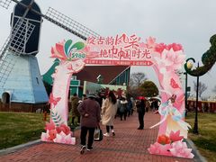 -荷兰花海