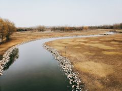 -北京麋鹿生态实验中心