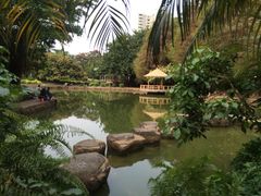 iphone_upload_pic-四海公园(南山区)