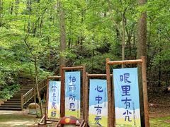 -关门山森林公园