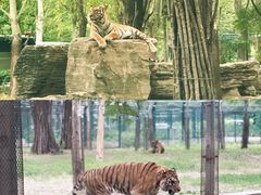 -秦皇岛野生动物园