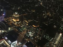 -顶鲜101美食美景餐厅