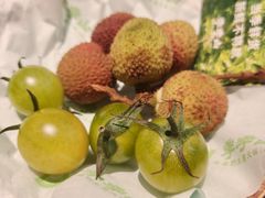 -季季山·云南野生菌火锅(上海首店)