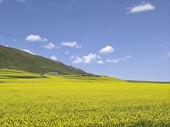 -扁都口生态休闲旅游区