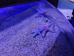 -波塞冬海底世界