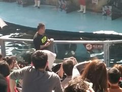 -泉州海丝野生动物世界