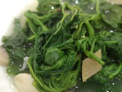 上汤桑叶-姚林轩