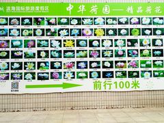 -南戴河国际娱乐中心