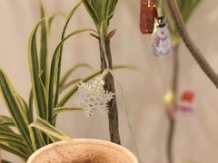 -Beans Solo豆号咖啡(百家湖花园店)