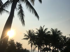 -三亚亚龙湾红树林度假酒店