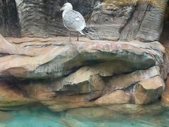 -长鹿旅游休博园