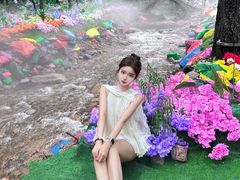 -洛阳白云山景区