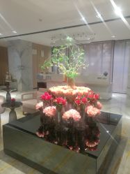 -广东韩妃整形外科医院