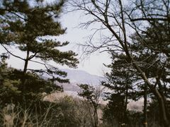 -北京西山国家森林公园