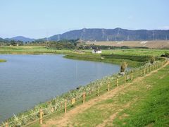 -光明小镇欢乐田园