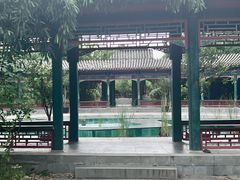 -武汉园博园(武汉自然博物馆)