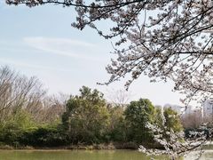 -艾溪湖湿地公园