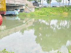-晓琦农家菜馆·地道农家菜