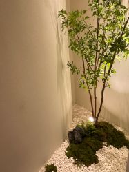 点击看大图 -汉棠汉方·美肤调体