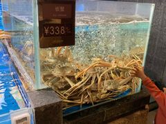 水产区-徐记海鲜(大明宫|北二环店)