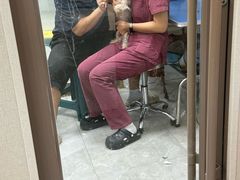 -瑞鹏宠物医院·普外科·影像科·皮肤科(城市山谷分院)